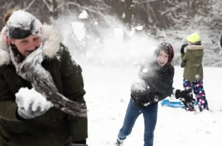 الثلوج تشل حركة الطيران والقطارات والطرق في هولندا