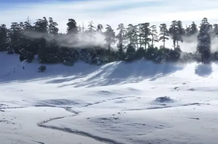 الثلوج تعود لتكسو قمم خنيفرة وتعيد الحياة لغابات الأرز