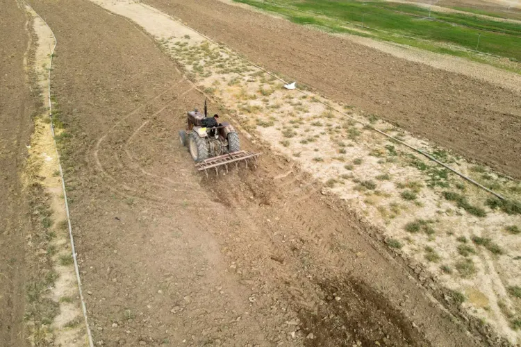 الجزائر: تضرر أكثر من 90 ألف فلاح جراء موجة جفاف غير مسبوق