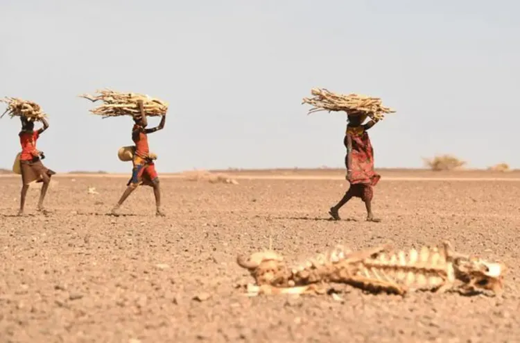 مالاوي تعلن حالة الكارثة بسبب الجفاف