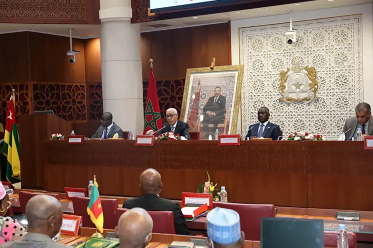 الجمعية الجهوية الإفريقية تعرب عن قلقها إزاء التهديدات الإرهابية والإنفصالية بالقارة الإفريقية