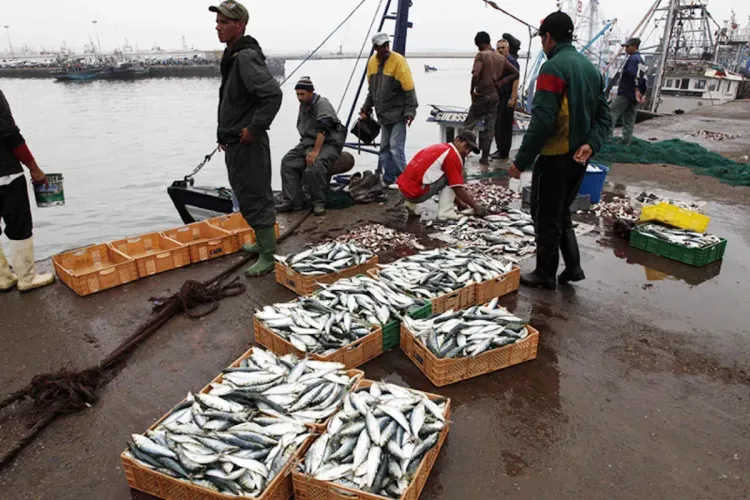 إسرائيل .. المغرب يستعرض تجربته في مجال الحفاظ على الموارد البحرية