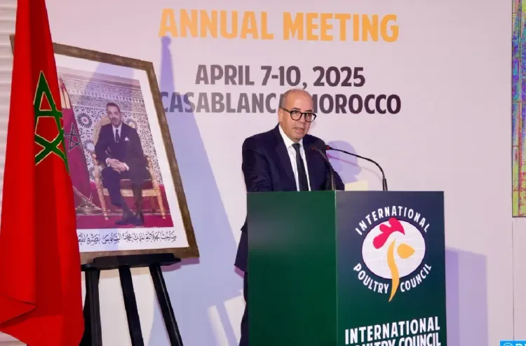 الدار البيضاء.. افتتاح فعاليات الدورة الـ20 لمؤتمر المجلس الدولي للدواجن