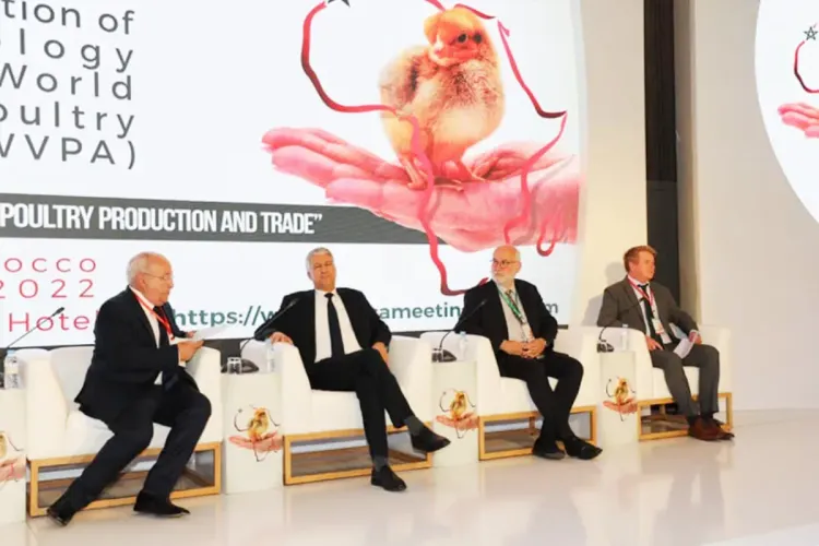 المؤتمر الإفريقي الأول لأمراض الدواجن : قطاع تربية الدواجن عرف تطورا كبيرا خلال العقدين الأخيرين (السيد صديقي)