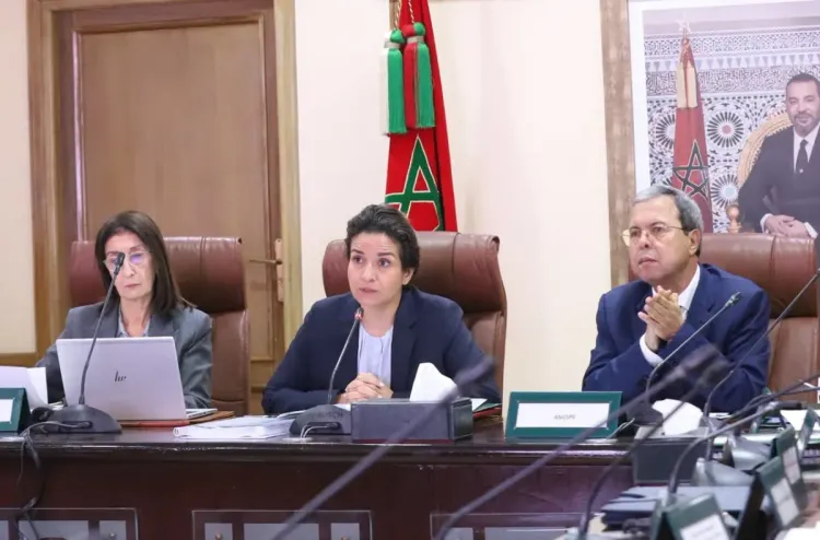 الهيدروكربورات والمعادن مفتاح السيادة الطاقية للمغرب (وزيرة)