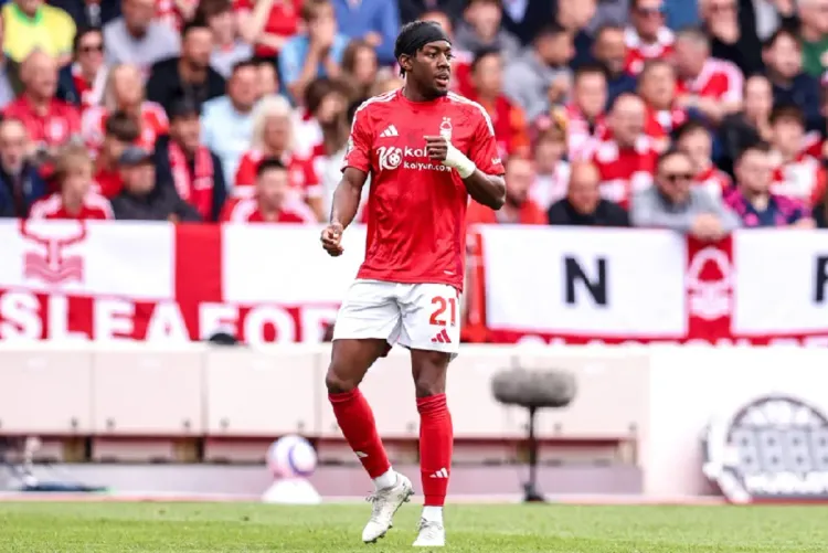 الدوري الإنجليزي لكرة القدم.. نيوكاسل يضم السويدي أنتوني إيلانغا قادما من نوتنغهام فوريست