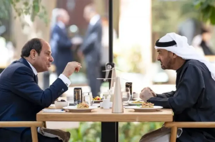 الرئيس الإماراتي ونظيره المصري يبحثان العلاقات الثنائية والتطورات في المنطقة