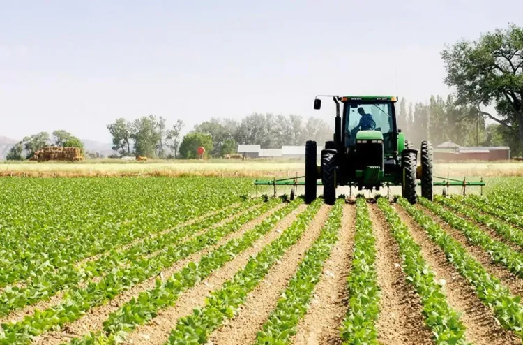 بني ملال.. تأثير إيجابي لأمطار الخير على الزراعات الربيعية