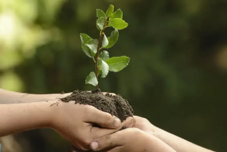 رهانات الزراعة البيئية محور لقاء وطني يوم 17 يونيو ببوزنيقة