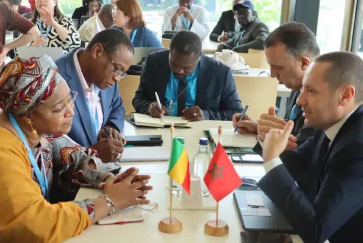 جمعية الصحة العالمية.. السيد التهراوي يتباحث مع عدد من نظرائه الدوليين