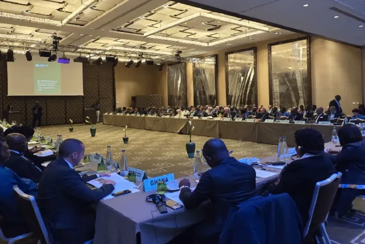 السيادة الصحية تمر أساسا عبر إصلاح عميق ومتناسق لآليات التمويل الصحي (السيد التهراوي)