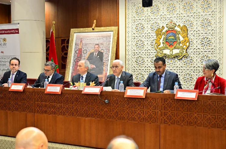 قطاع الرياضة بالمملكة يعرف تحولات هيكلية ويحقق إنجازات تاريخية (السيد برادة)