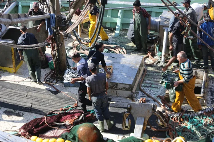 ميناء المهدية: انخفاض الكميات المفرغة من منتجات الصيد الساحلي والتقليدي بـ 4 في المائة متم يوليوز 2024