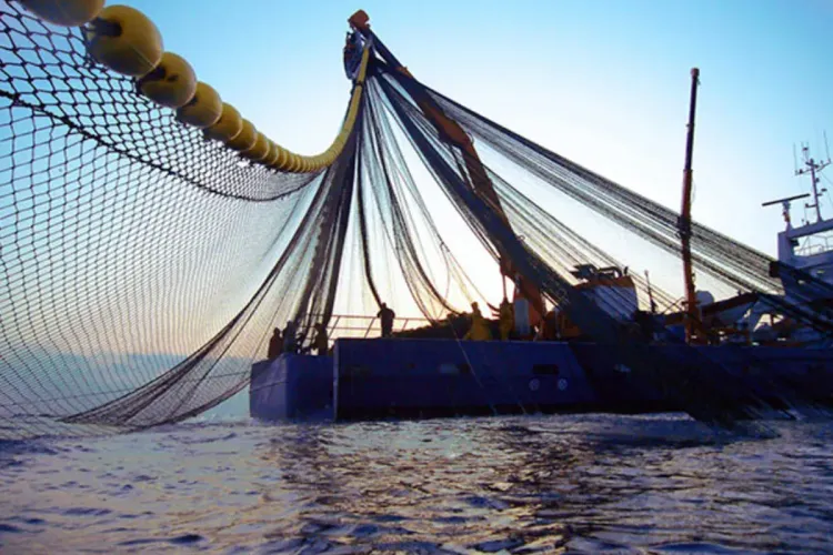 ميناء الداخلة: ارتفاع مفرغات الصيد الساحلي والتقليدي بـ 20 بالمائة عند متم يوليوز الماضي