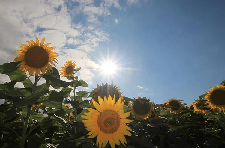 توقعات أحوال الطقس اليوم الخميس