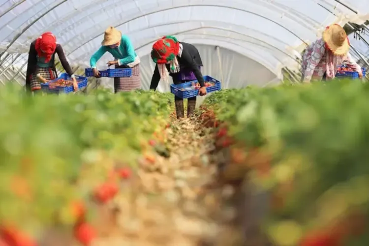 هويلبا الإسبانية: تكوين 200 عاملة موسمية مغربية في مجال ريادة الأعمال