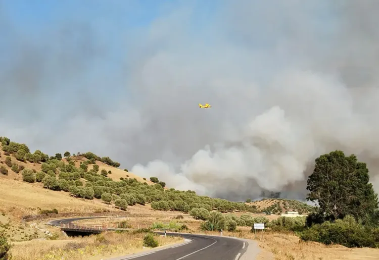 حرائق جديدة تلتهم غابات مجاورة للقرويين بالعرائش