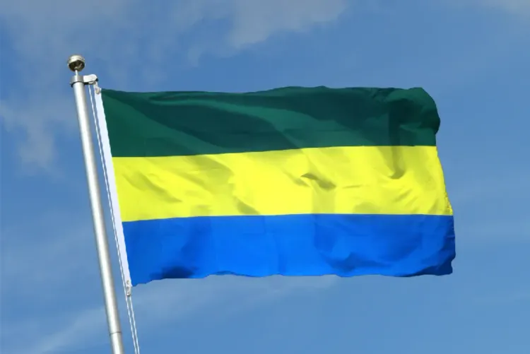 الغابون يتصدر قائمة الدول الإفريقية الأكثر فرضا للضرائب على الرحلات الدولية في 2024 (تقرير)