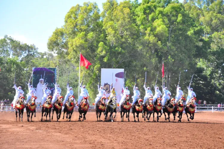 جائزة الحسن الثاني لفنون الفروسية التقليدية 2022 : تكريس للعناية المولوية للفرس وبتقاليد الفروسية