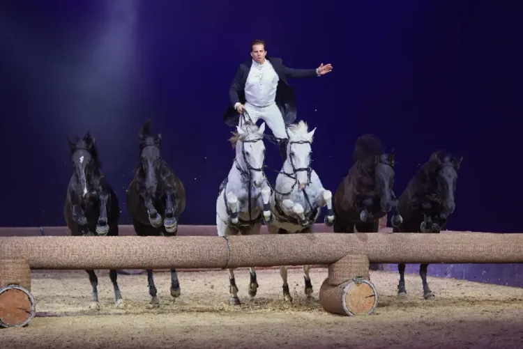 الدورة الـ 24 لجائزة الحسن الثاني لـ "التبوريدة" .. الفنان الفرنسي لورينزو يتحف الجماهير بعروض فنية رائعة