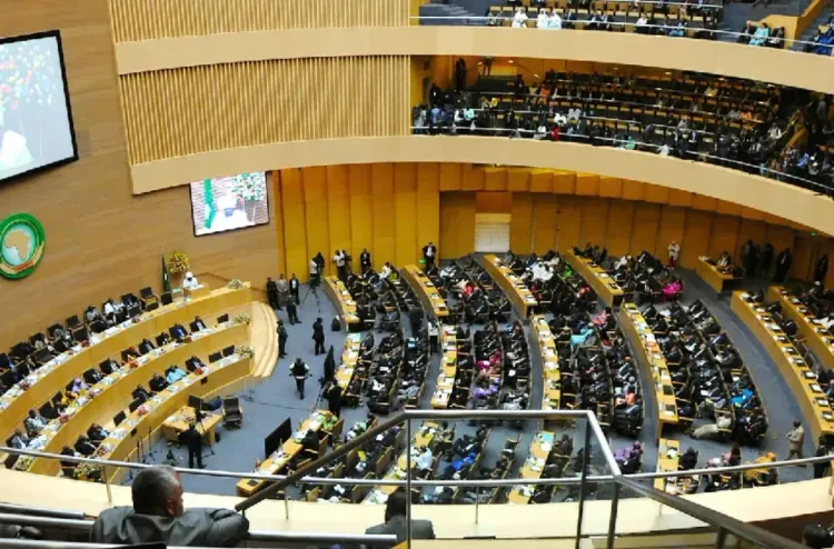 القمة الـ39 للاتحاد الإفريقي: إشكالية المياه في صلب النقاشات