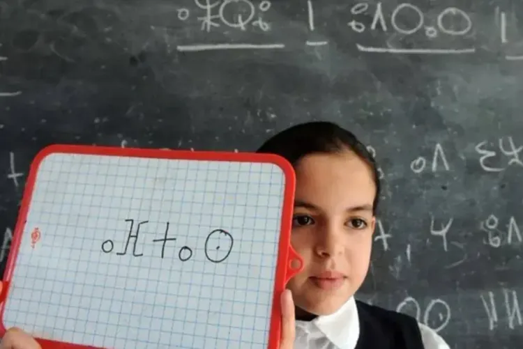 تدريس اللغة الأمازيغية.. تكوين أزيد من 3000 أستاذ للتعليم الابتدائي بالتخصص المزدوج (وزير)