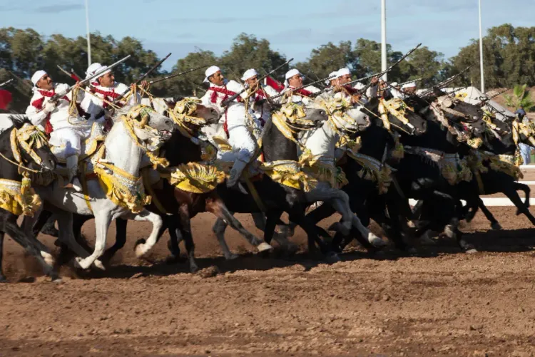 كلميم.. تأهل سربتين من الجهات الجنوبية في المباريات الإقصائية بين الجهات للتبوريدة 2025