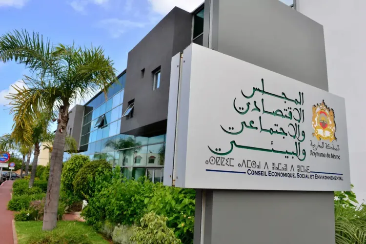 المجلس الاقتصادي والاجتماعي والبيئي