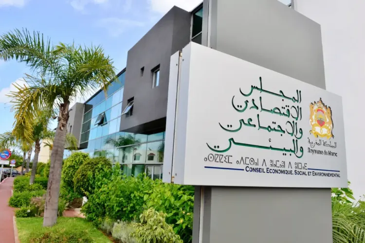 المجلس الاقتصادي والاجتماعي والبيئي: التوصيات الرئيسية المتضمنة في رأي المجلس حول المعادن الاستراتيجية والحرجة