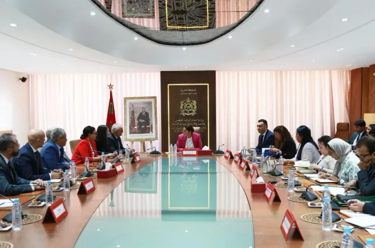 فاطمة الزهراء المنصوري تترأس جلسة عمل مع المكتب الجديد للمجلس الوطني لهيئة المهندسين المعماريين