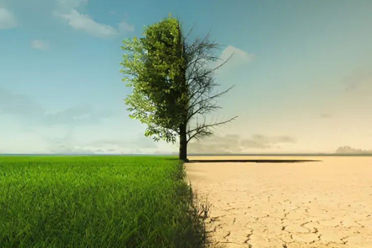 المركز المغربي للظرفية يصدر عددا خاصا حول تغير المناخ