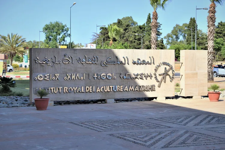 المعهد الملكي للثقافة الأمازيغية يطلق استكتابا جماعيا حول أدب الهجرة المكتوب باللغة الأمازيغية
