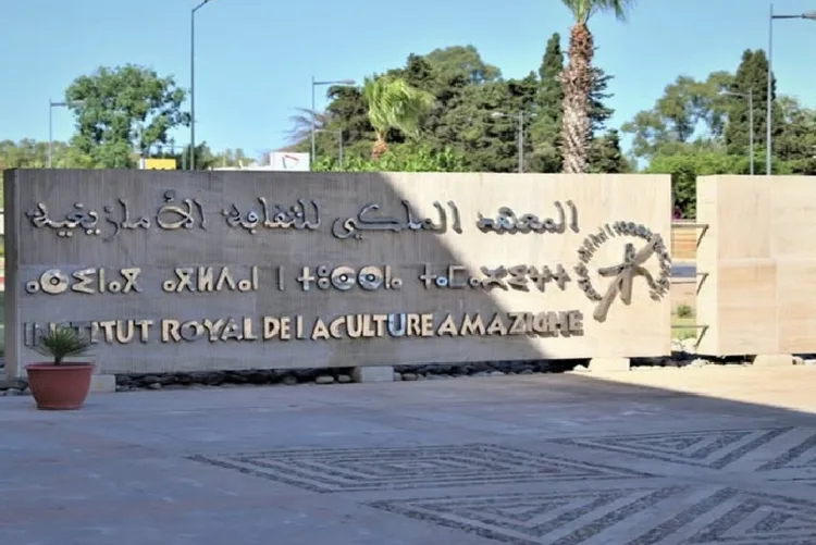 المعهد الملكي للثقافة الأمازيغية يخلد الذكرى الـ 21 لاعتراف منظمة "إيزو" بـ (تيفيناغ)