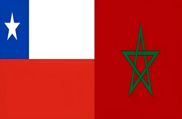 المغرب-الشيلي.. العلاقات بين البلدين "متينة ومثمرة بشكل متزايد" (عضوان في الحكومة الشيلية)