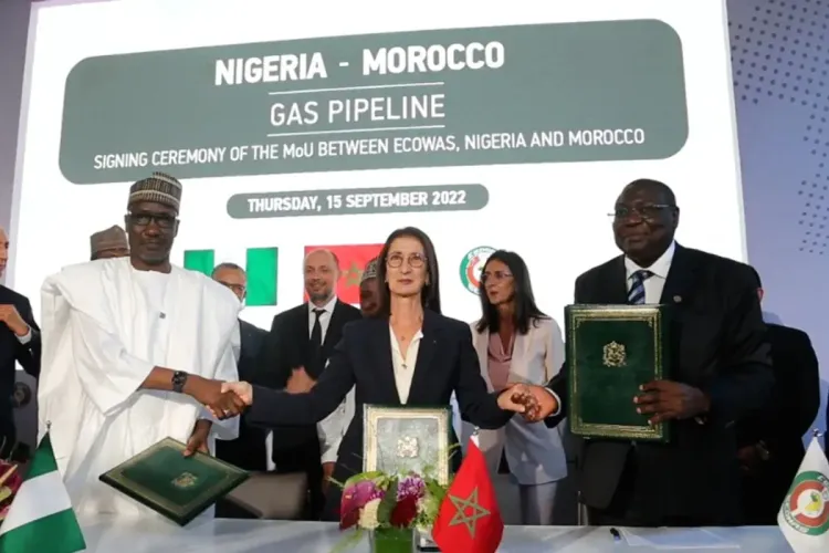 اليوم العالمي لإفريقيا: التعاون والتضامن في صلب السياسة الإفريقية للمملكة المغربية