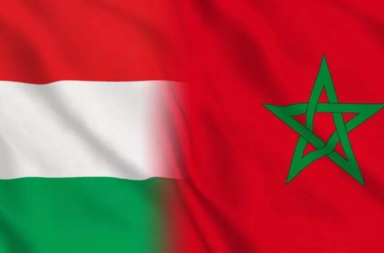المغرب-هنغاريا: الاستثمار محرك أساسي للنمو المستدام والتجارة الثنائية (السيد العلوي)