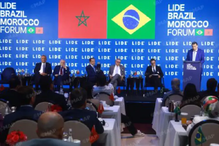 المغرب والبرازيل تجمعهما رؤية مشتركة للتعاون جنوب-جنوب قائمة على التكامل والثقة (السيد العلج)