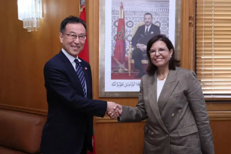 المغرب واليابان يبحثان سبل تعزيز التعاون في مجال الصيد البحري