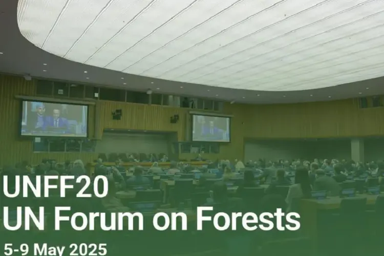 نيويورك .. المغرب يترأس الدورة العشرين لمنتدى الأمم المتحدة المعني بالغابات