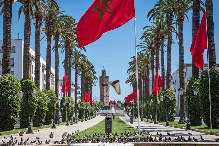 المغرب الصاعد يستقطب اهتمام جاليته بالخارج (رئيسة شبكة "رواد الأعمال-المغرب")
