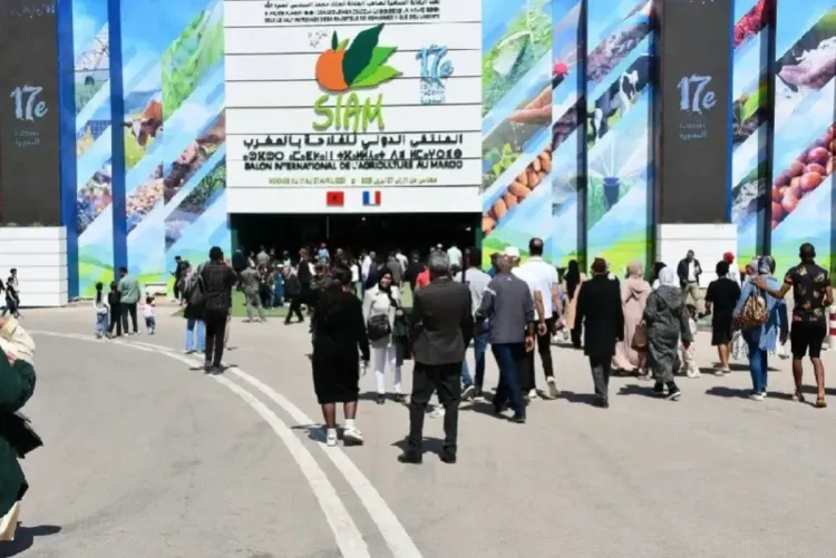 الدورة الـ 17 للملتقى الدولي للفلاحة بالمغرب.. أزيد من مليون زائر (السيد هيدان)