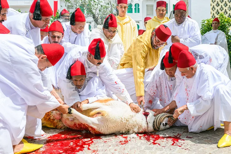 أمير المؤمنين يؤدي صلاة عيد الأضحى المبارك بمسجد الحسن الثاني بتطوان ويتقبل التهاني بهذه المناسبة السعيدة