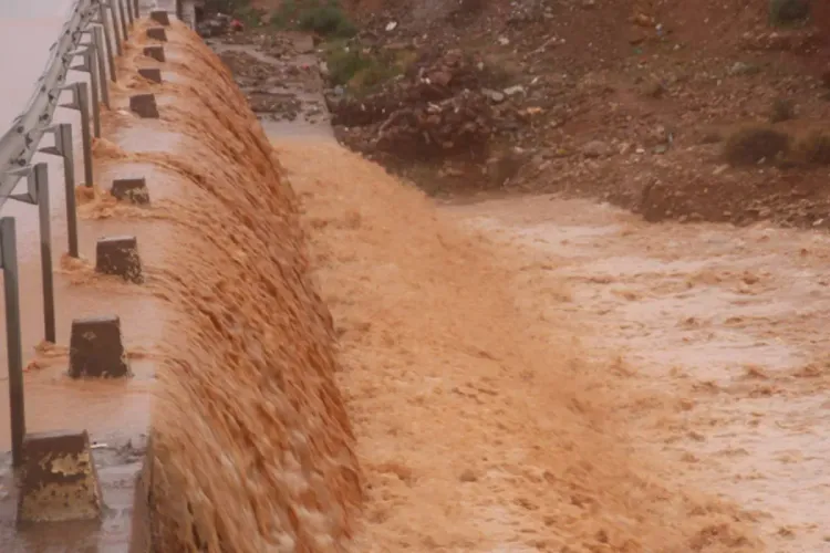 الاستعدادات جارية لضمان انطلاق وسير الموسم الفلاحي 2021- 2022 في أفضل الظروف