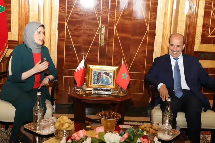 مباحثات تجمع رئيس مجلس المستشارين بالأمين العام لمجلس الشورى البحريني