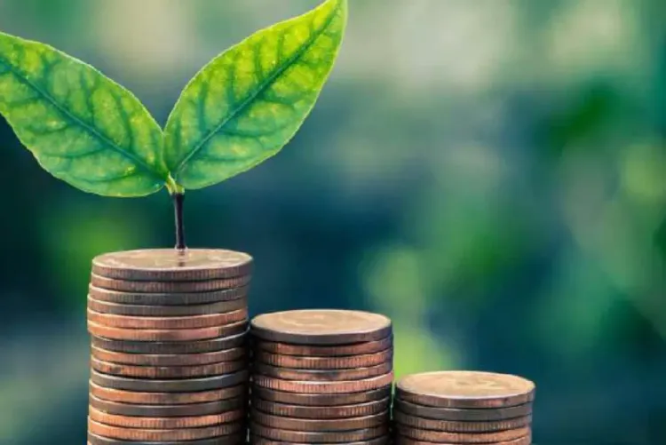 الاستثمار الشامل: برنامج الأمم المتحدة الإنمائي بالمغرب يدعم المقاولات الصغرى والمتوسطة الخضراء