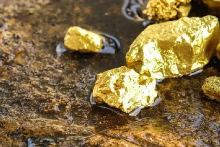 النيجر تؤمم منجمها الوحيد للذهب بسبب "إخلال" بالالتزامات الاستثمارية