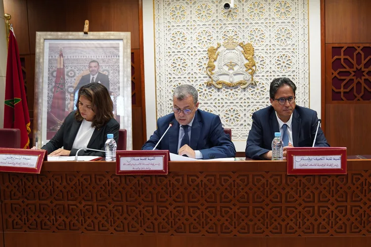 المصادقة على إحداث الهيئة الوطنية لضبط الكهرباء ومشروع مرسوم يتعلق بضبط قطاع الكهرباء