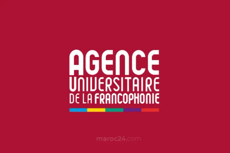 الوساطات والحقوق الثقافية محور مؤتمر تفاعلي بالرباط