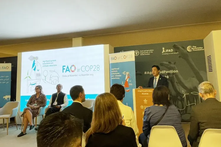 قمة المناخ 2023: مشاركون في لقاء تشاوري يوصون بإنشاء تحالف دولي لمواكبة تنمية مستدامة للواحات