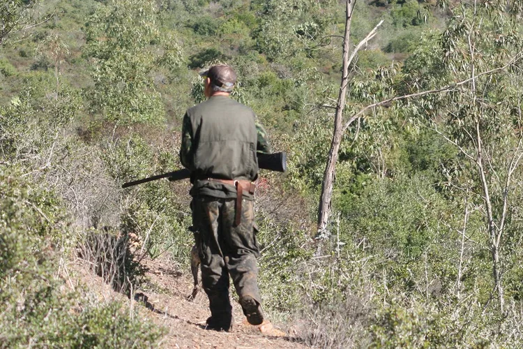 الوكالة الوطنية للمياه والغابات: ضبط مخالف متورط بالقنص غير المشروع بمحمية بإقليم الصخيرات-تمارة